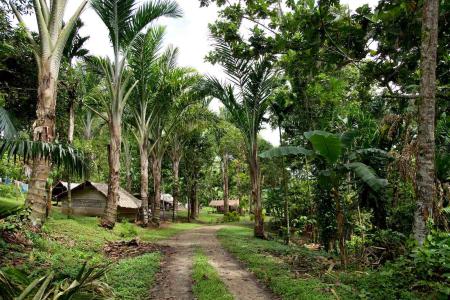 A false start for PNG-Bougainville consultations